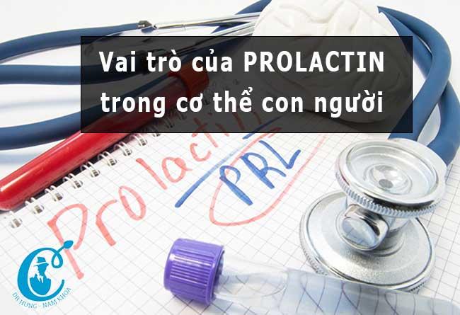 Prolactin và vai trò trong hoạt động tình dục của con người