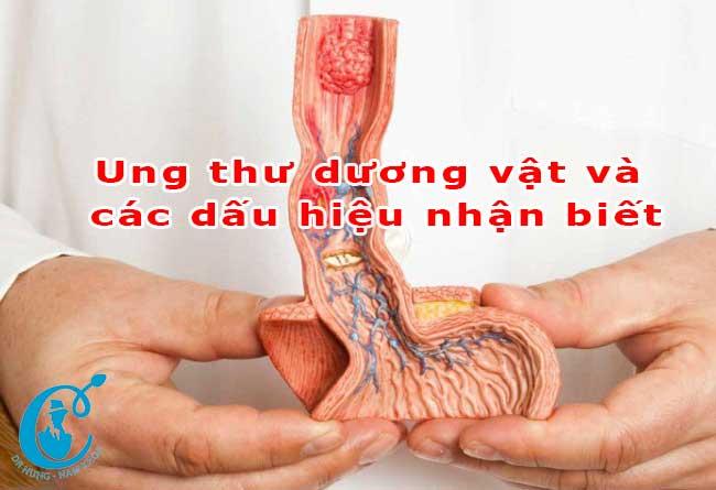 Ung thư dương vật và các dấu hiệu nhận biết