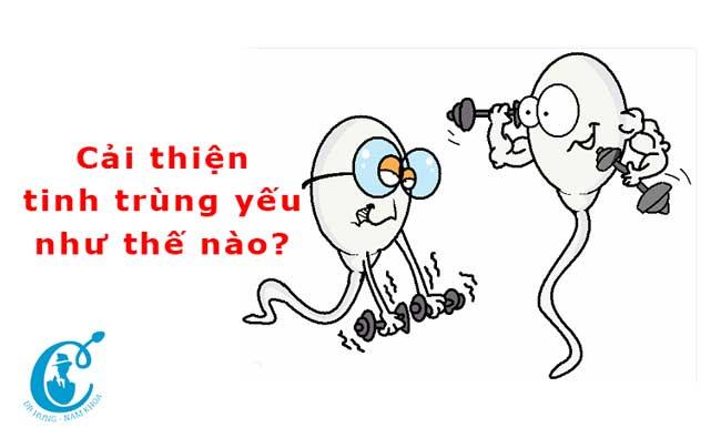 Tinh trùng yếu là như thế nào? Điều trị tinh trùng yếu ra sao?