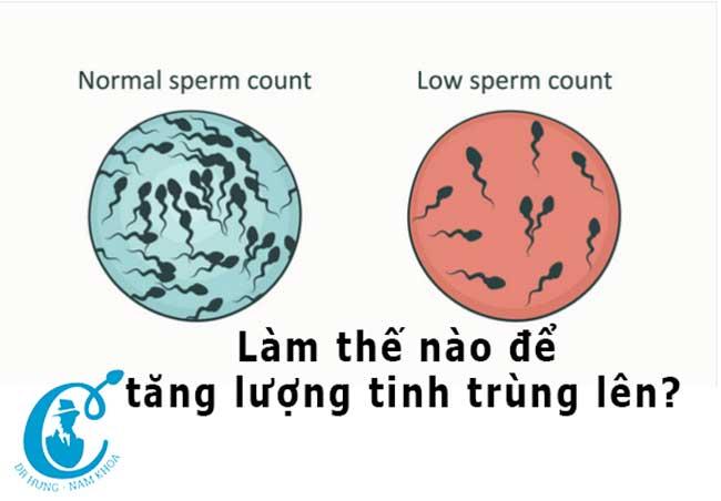 Nguyên nhân tinh trùng ít và biện pháp khắc phục