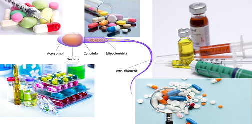 Bs Hưng trên suckhoedoisong.vn - Một số thuốc thường dùng ảnh hưởng tới sinh tinh