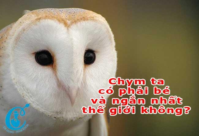 Chym ta có phải loài chim nhỏ nhất không?