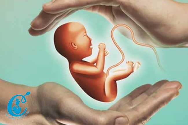 Hiến tặng tinh trùng nhiều dẫn đến nỗi lo cận huyết thống