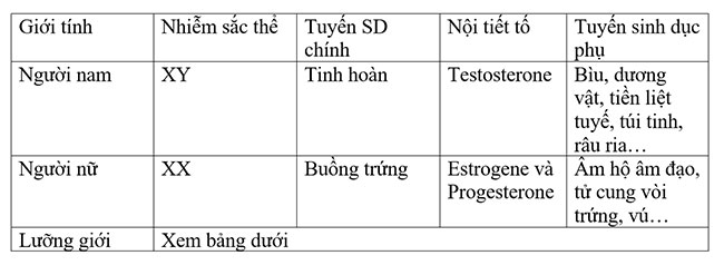 Bảng xác định giới tính con người