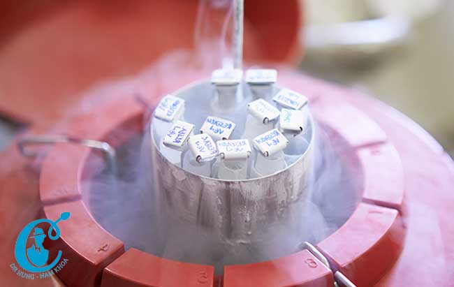 Các mẫu tinh trùng được bảo quản nghiêm ngặt