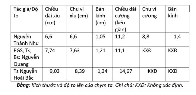Bảng kích thước chym ta