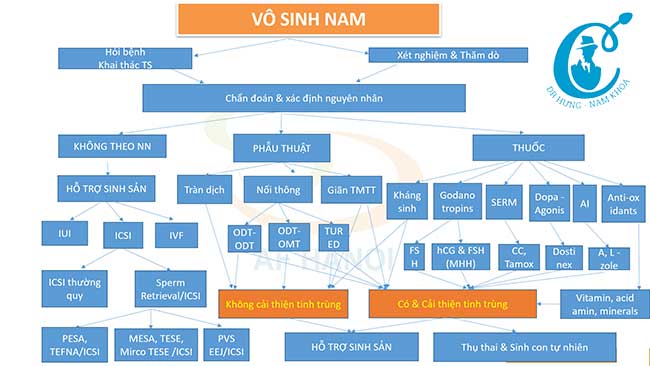 Sơ đồ điều trị vô sinh nam